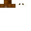 Texture for BearHead