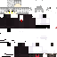 Texture for Snow100%