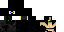 Texture for Ninja