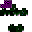 Texture for 5