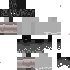 Texture for the Wraith