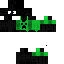 Texture for _RexMC_