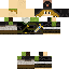 Texture for Link