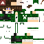 Texture for sasas