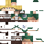 Texture for erwin
