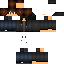 Texture for wfdwt4tet