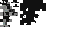 Texture for 2020