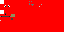Texture for Dumb dog that my annoying brother nick who is five made