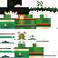 Texture for gon minecraft