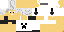 Texture for Testa
