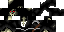 Texture for char