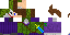 Texture for two face joker
