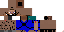 Texture for private steve