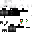 Texture for Conix com flores