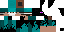 Texture for enderdoc