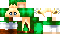 Texture for Link Femâle