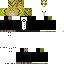 Texture for Kakapo w/ tuxedo