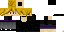Texture for NinjaAcadamy101