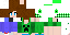 Texture for Csaj