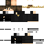 Texture for Принц
