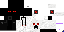 Texture for Ender