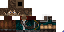 Texture for THE SURVIVOR