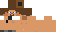 Texture for  Steve