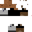 Texture for toji capi