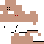 Texture for White Ninja