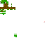 Texture for Turtle sam