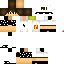 Texture for logan_BR