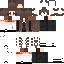 Texture for Library