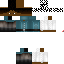 Texture for paladino