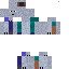 Texture for Eisbären