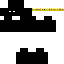 Texture for SalamoneQ