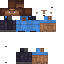 Texture for Steve