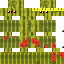 Texture for KING MELON