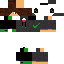 Texture for grene boy