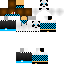 Texture for Sr_Pandola