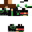 Texture for Robin_MC