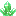 Texture for kelp