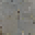 Texture for asdsd