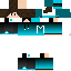 Texture for enzo 456