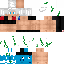 Texture for Link Merling