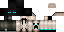 Texture for Cool Ender