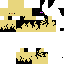Texture for enderduck