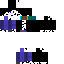 Texture for ssgs