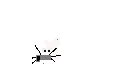 Texture for cloudy copter