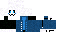 Texture for steve