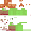 Texture for Error_Pico_